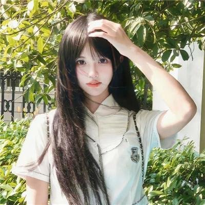 森林之境