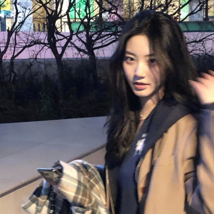 一只土拨鼠能啃掉多少